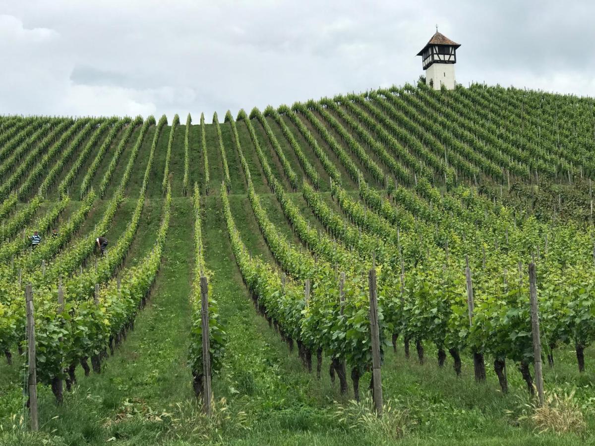 Ferienwohnung Lakewinds Meersburg Luaran gambar